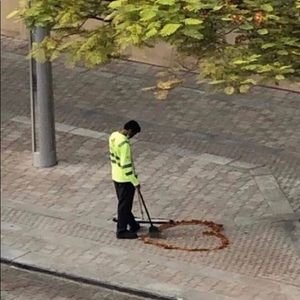 Meet your Posher, Fiona